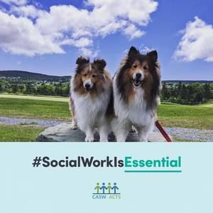 Meet your Posher, Cindy-mike